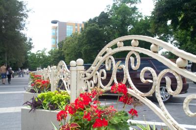 Прикрепленное изображение: DSC_0012.jpg